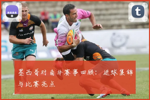 墨西哥对南非赛事回顾:进球集锦与比赛亮点